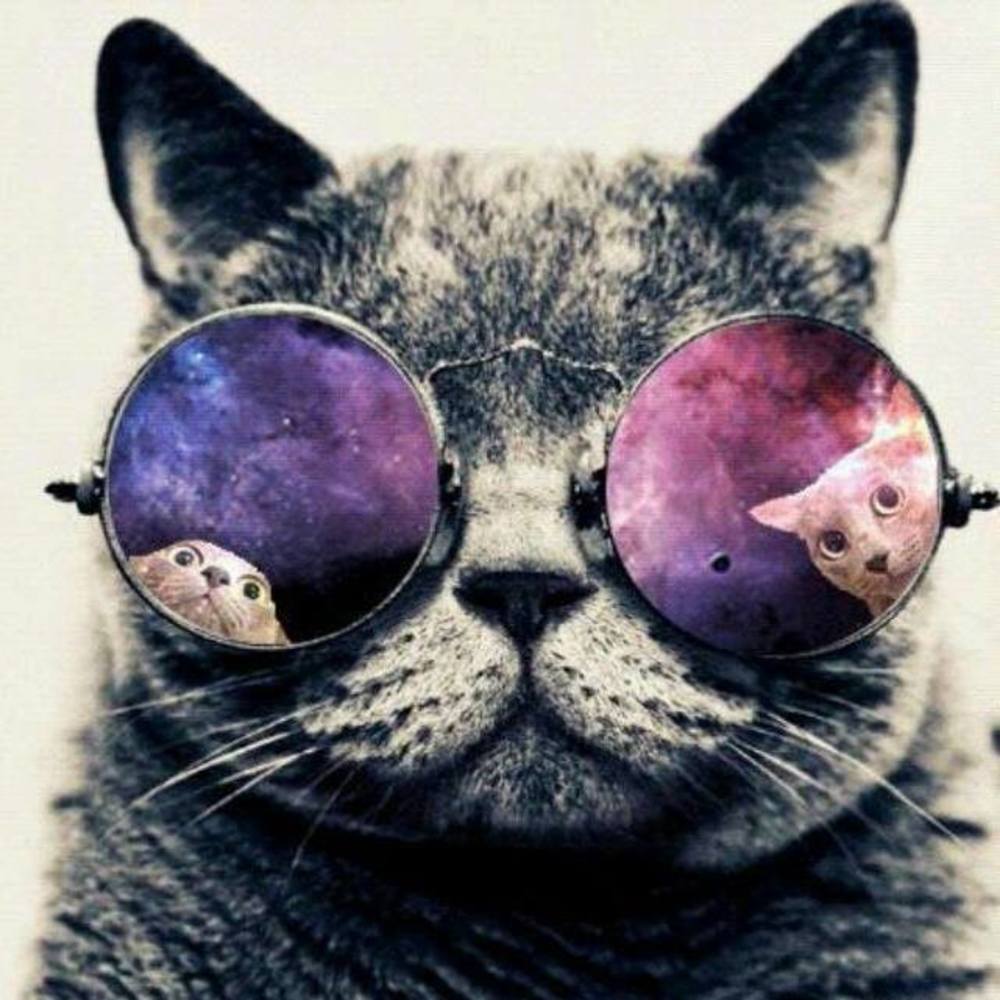 Meet your Posher, Deb